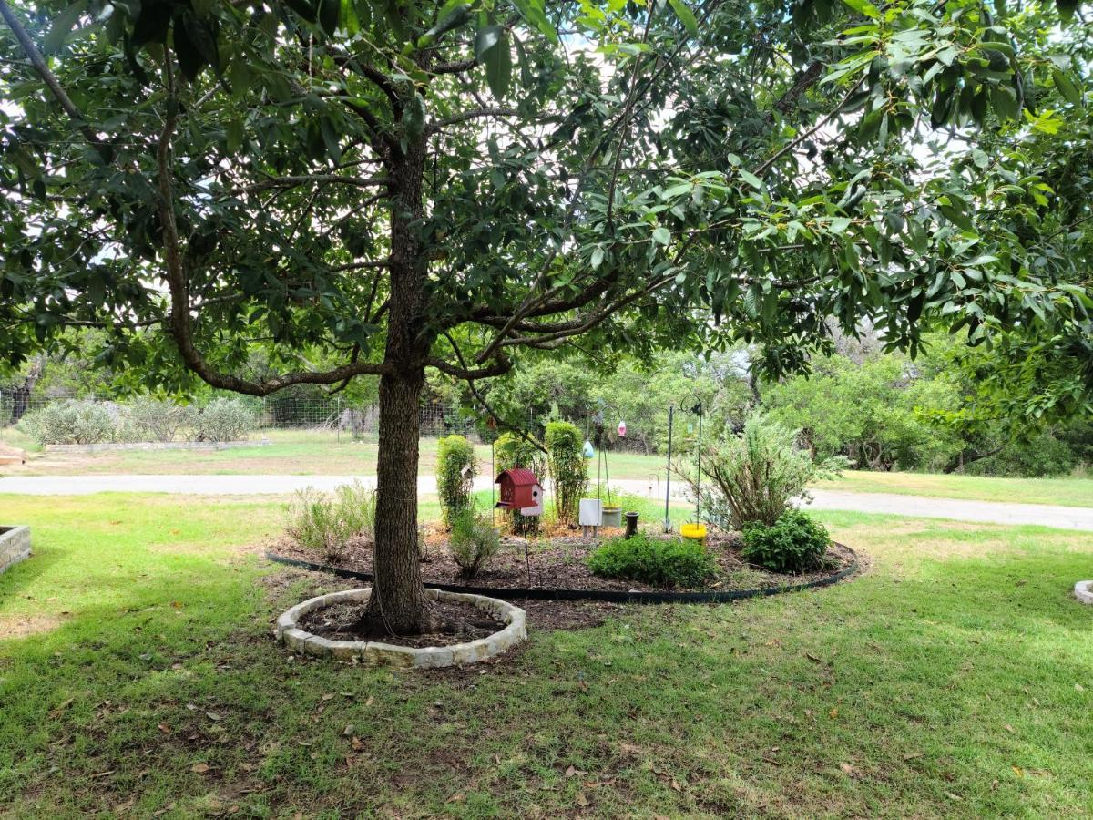 Hill Country Haute N Haus Relax And Renew Fischer Exterior photo